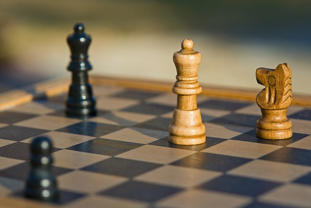 象棋中炮對<br>屏風馬實戰攻略